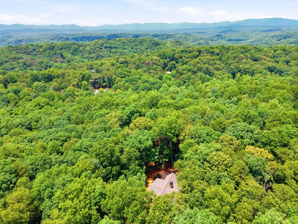 224 Pinecrest Drive, Ellijay GA 30540 - Photo