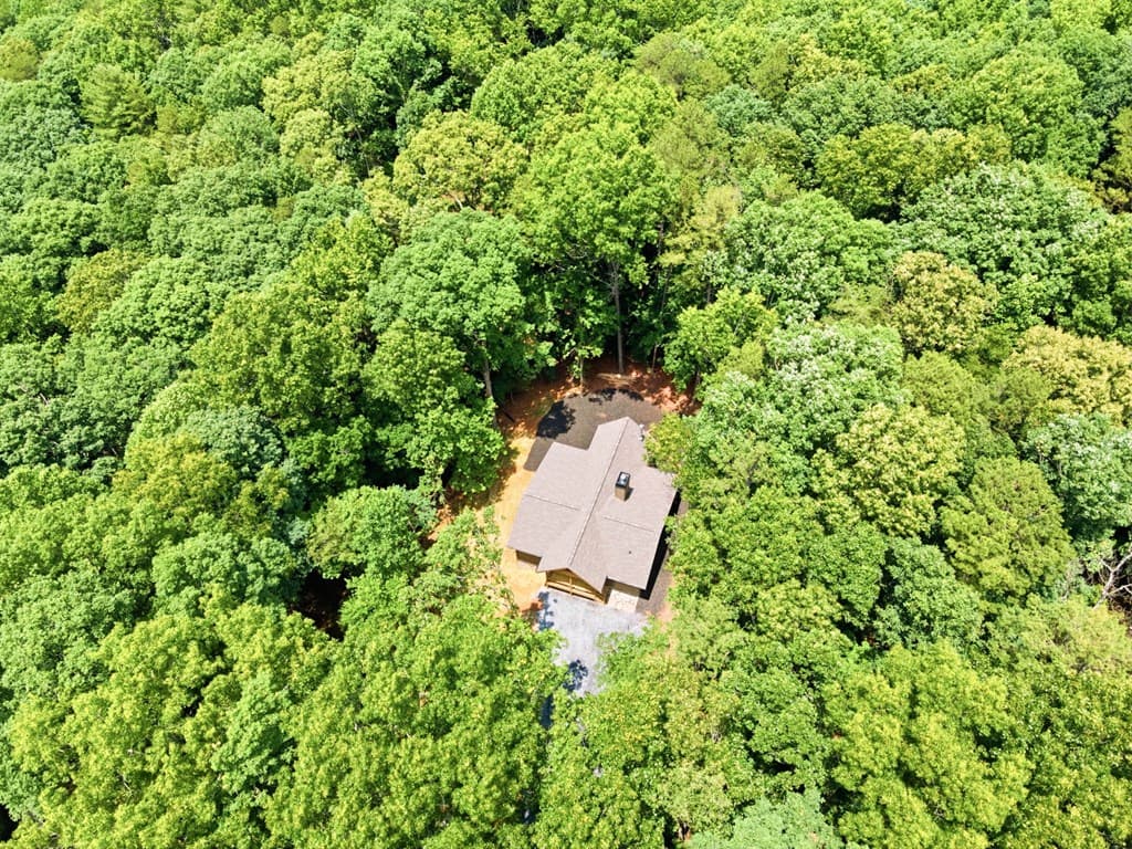 224 Pinecrest Drive, Ellijay GA 30540 - Photo