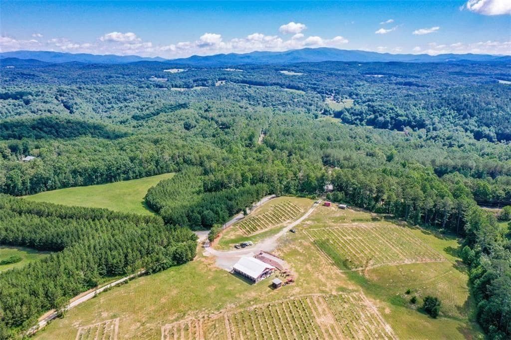 119 Inland Drive, Talking Rock GA 30175 - Photo