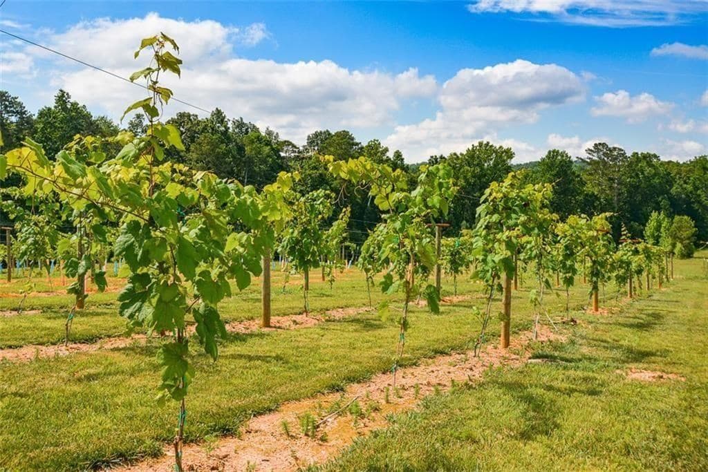 119 Inland Drive, Talking Rock GA 30175 - Photo