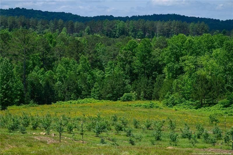 119 Inland Drive, Talking Rock GA 30175 - Photo