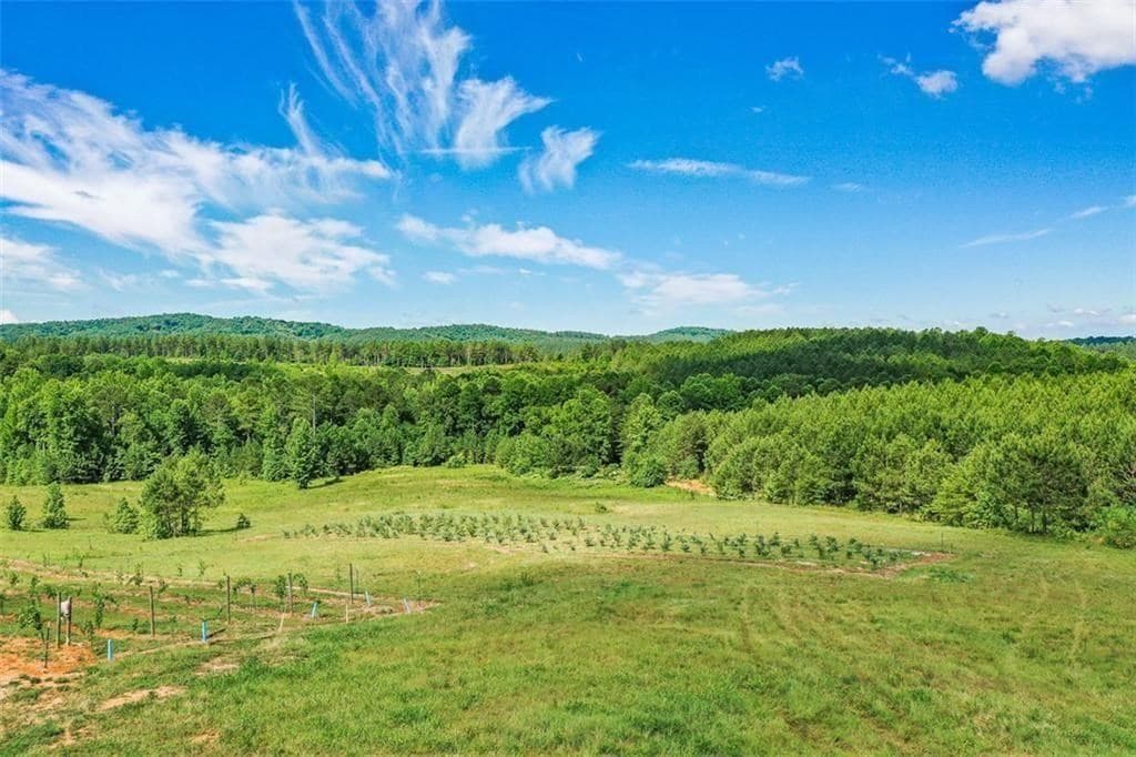 119 Inland Drive, Talking Rock GA 30175 - Photo