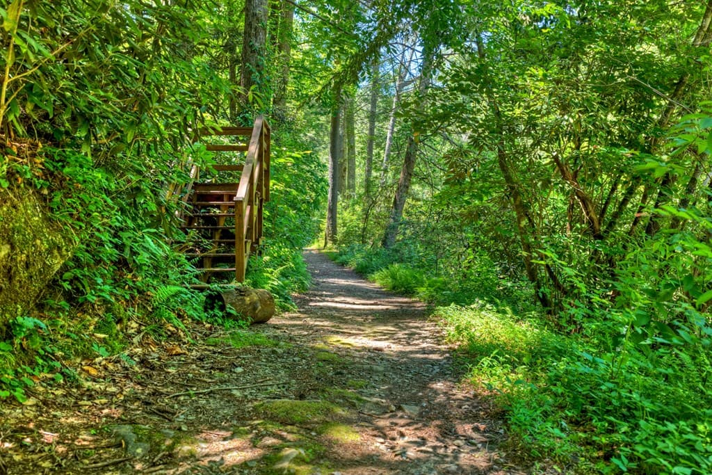510 Gallery Court, Ellijay GA 30540 - Photo