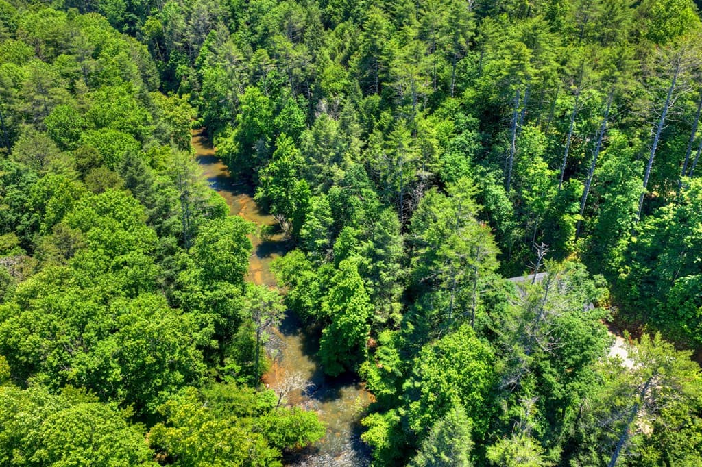 510 Gallery Court, Ellijay GA 30540 - Photo