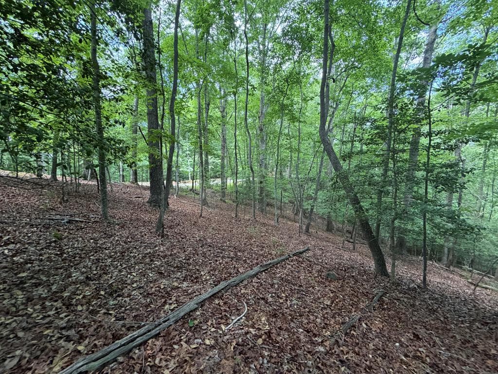 Lot 1049 Gateway Drive, Ellijay GA 30540 - Primary photo