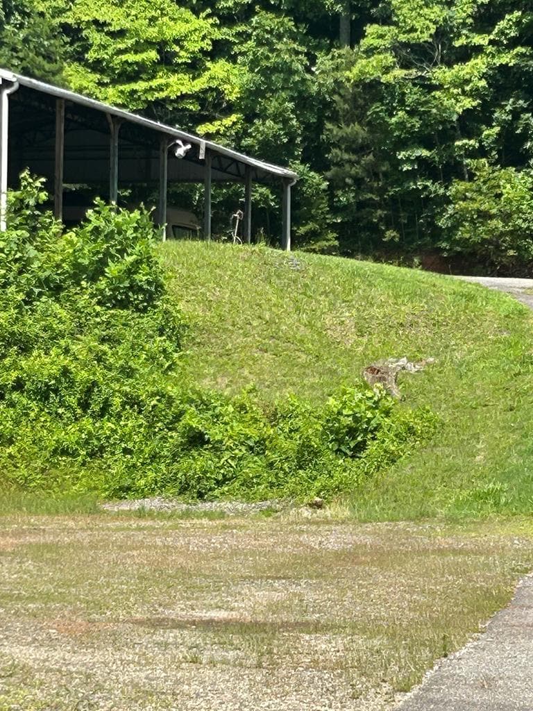 2936 Hwy 175, Hayesville MD 20894 - Photo