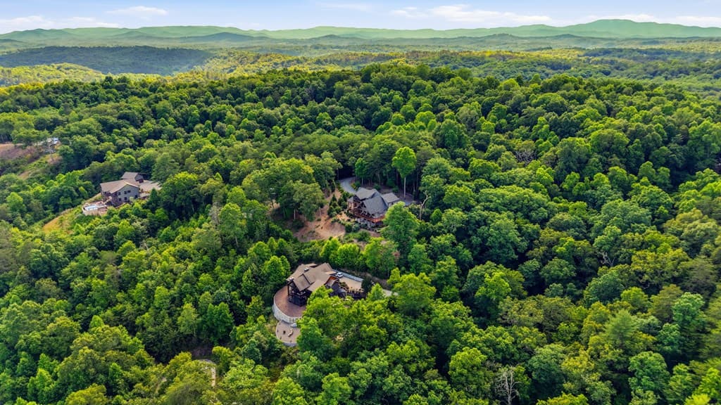 101 Toccoa Vista Lane, Mineral Bluff GA 30559 - Photo