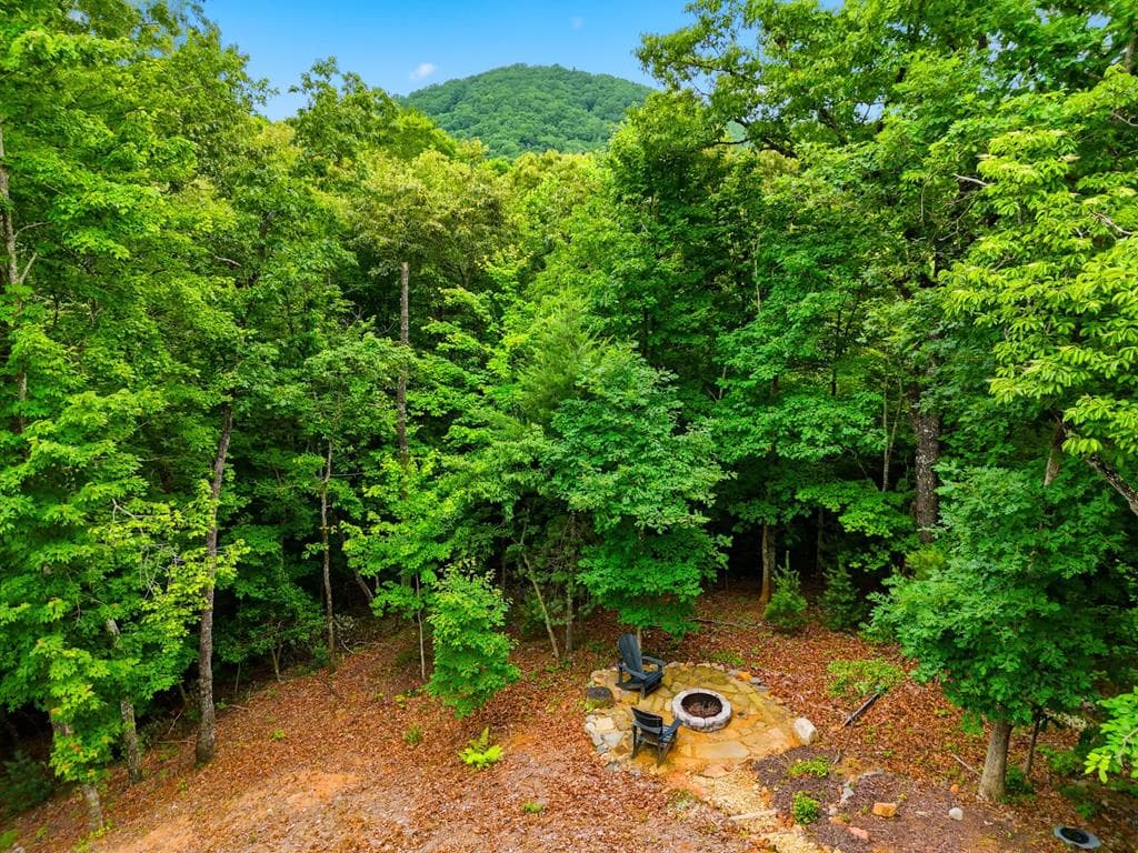 152 Oceola Drive, Ellijay GA 30540 - Photo