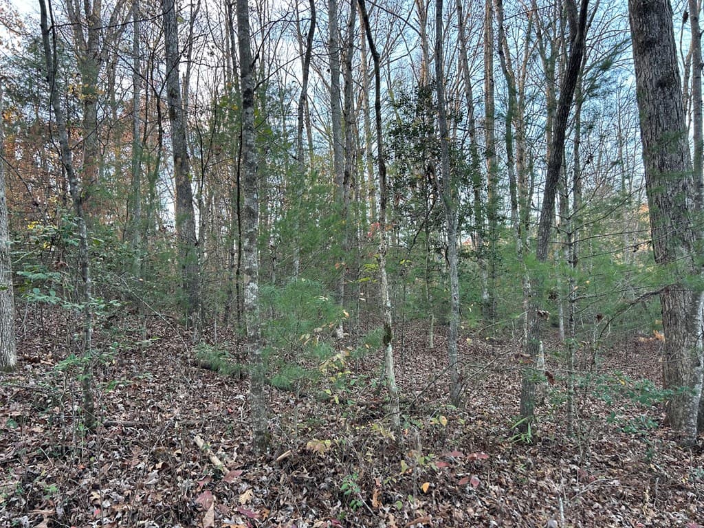 Lot 12 Tombstone Drive, Blairsville GA 30512 - Photo