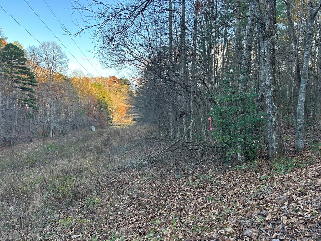 Lot 12 Tombstone Drive, Blairsville GA 30512 - Photo