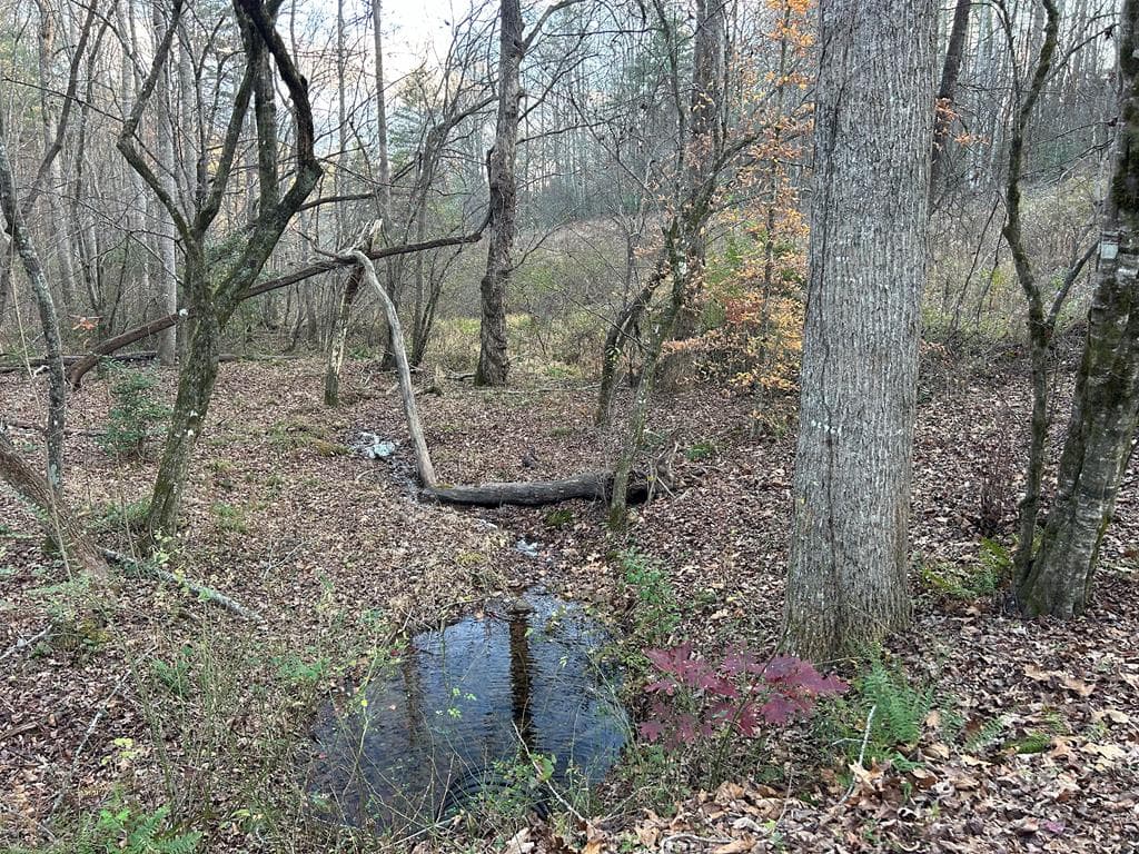 Lot 12 Tombstone Drive, Blairsville GA 30512 - Primary photo