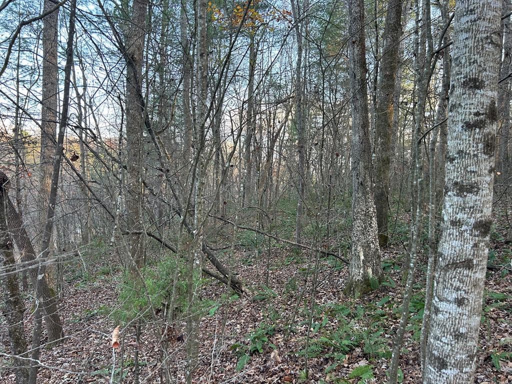 Lot 12 Tombstone Drive, Blairsville GA 30512 - Photo