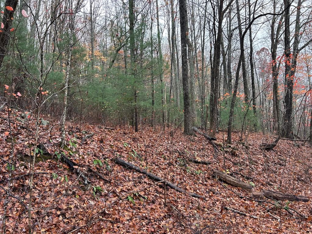 Lt12&13 Butternut Grove Road, Blairsville GA 30512 - Photo