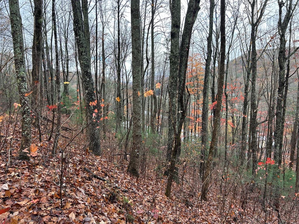 Lt12&13 Butternut Grove Road, Blairsville GA 30512 - Photo