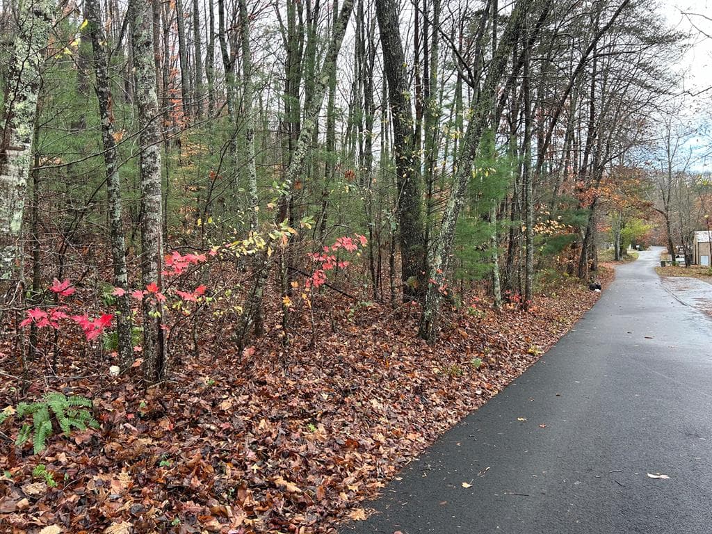 Lt12&13 Butternut Grove Road, Blairsville GA 30512 - Primary photo