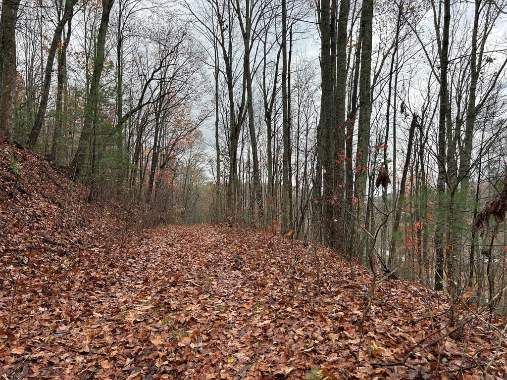 Lt12&13 Butternut Grove Road, Blairsville GA 30512 - Photo