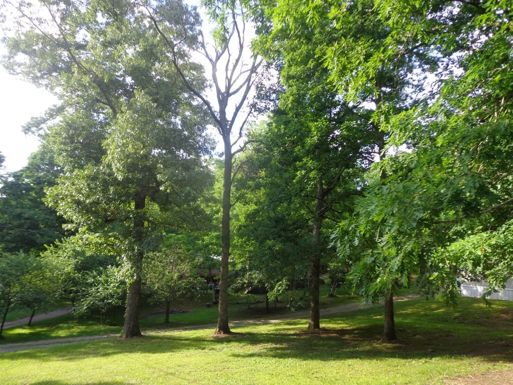 120 Hamby Road, Blue Ridge GA 30513 - Photo