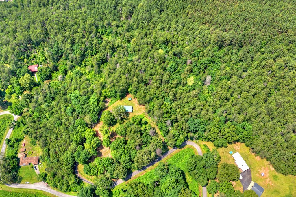 281 Pantertown Circle, Mineral Bluff GA 30559 - Photo