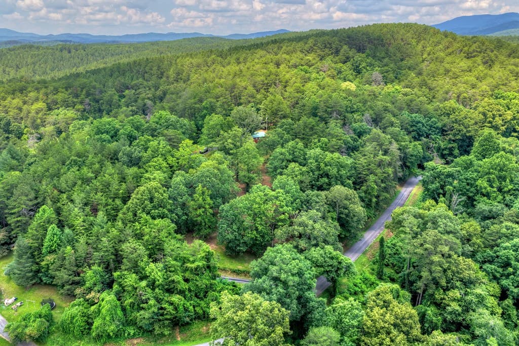 281 Pantertown Circle, Mineral Bluff GA 30559 - Photo