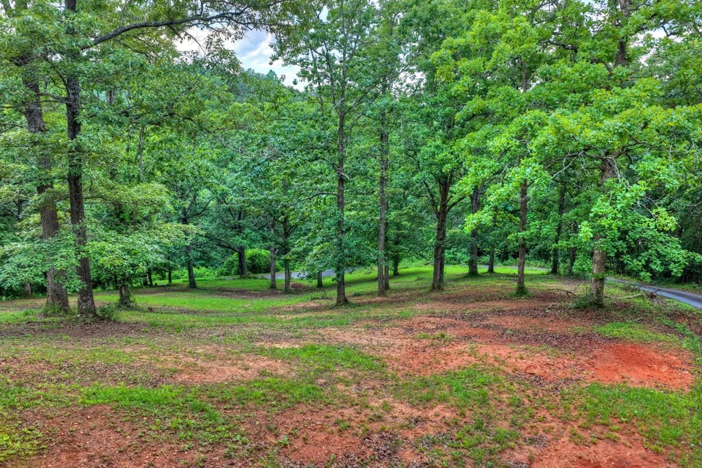 281 Pantertown Circle, Mineral Bluff GA 30559 - Photo