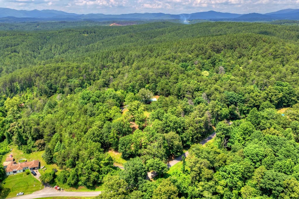 281 Pantertown Circle, Mineral Bluff GA 30559 - Photo
