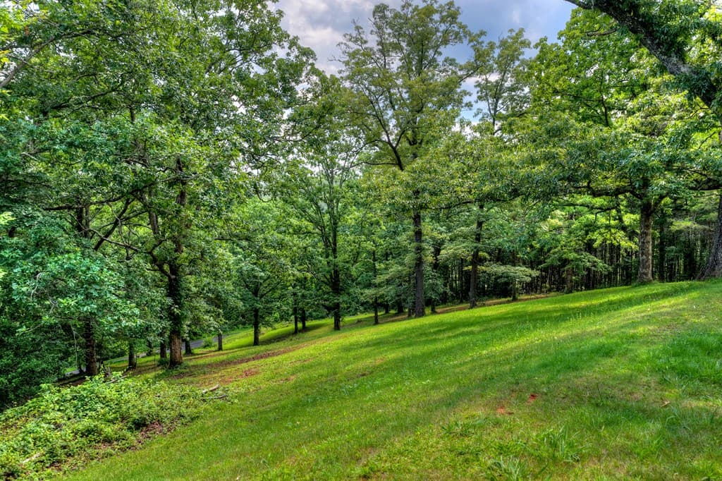281 Pantertown Circle, Mineral Bluff GA 30559 - Photo