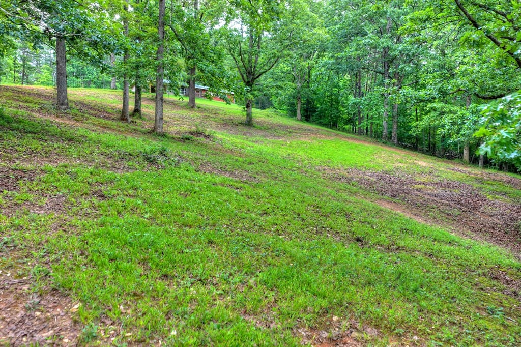 281 Pantertown Circle, Mineral Bluff GA 30559 - Photo