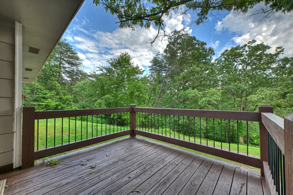 281 Pantertown Circle, Mineral Bluff GA 30559 - Photo