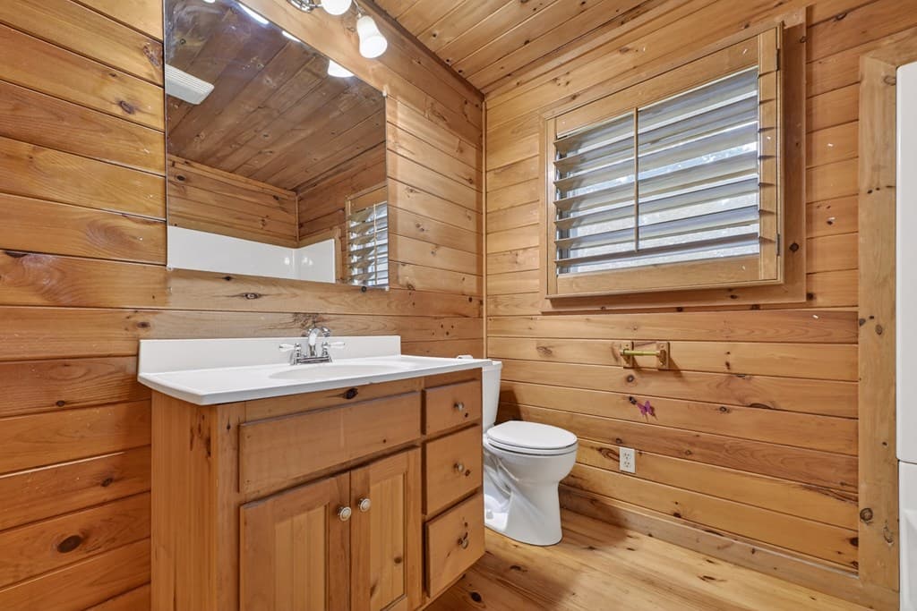 281 Pantertown Circle, Mineral Bluff GA 30559 - Photo