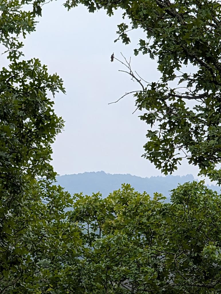 281 Pantertown Circle, Mineral Bluff GA 30559 - Photo
