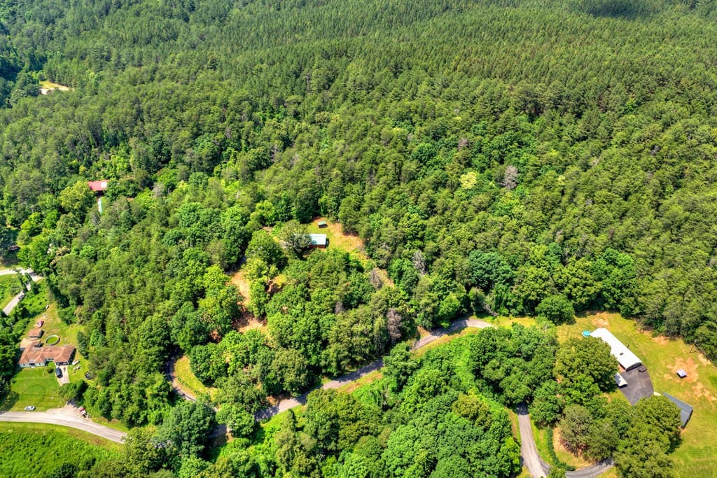 281 Pantertown Circle, Mineral Bluff GA 30559 - Photo