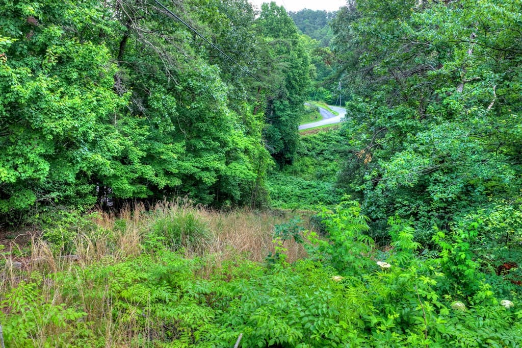 281 Pantertown Circle, Mineral Bluff GA 30559 - Photo
