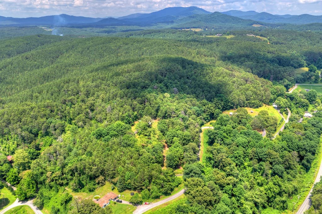 281 Pantertown Circle, Mineral Bluff GA 30559 - Photo