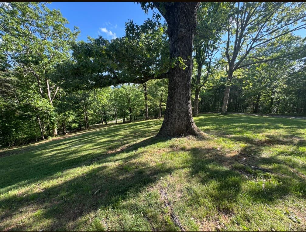 281 Pantertown Circle, Mineral Bluff GA 30559 - Photo