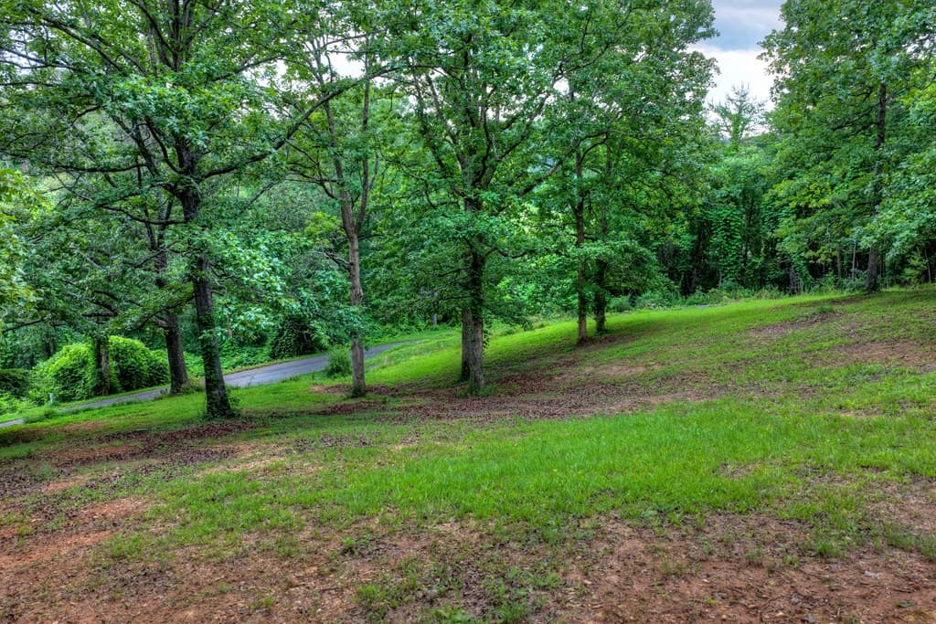281 Pantertown Circle, Mineral Bluff GA 30559 - Photo