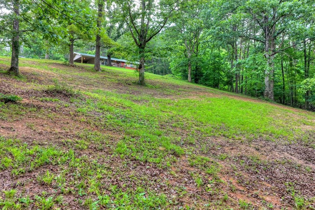 281 Pantertown Circle, Mineral Bluff GA 30559 - Photo