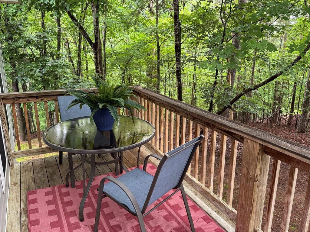 181 Cindy Lane, Ellijay GA 30540 - Photo