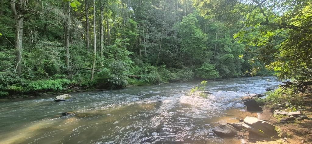Lot 4 Roaring Forks Lane, Ellijay GA 30540 - Photo