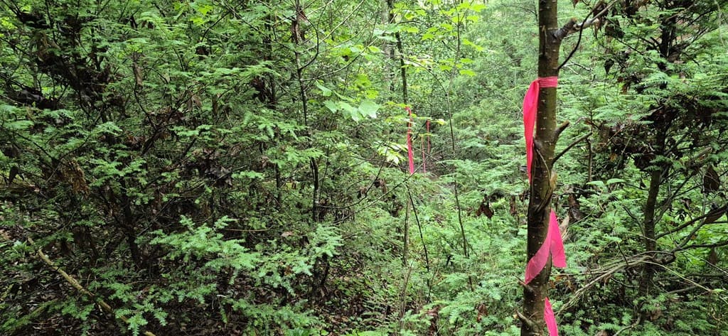 Lot 4 Roaring Forks Lane, Ellijay GA 30540 - Photo