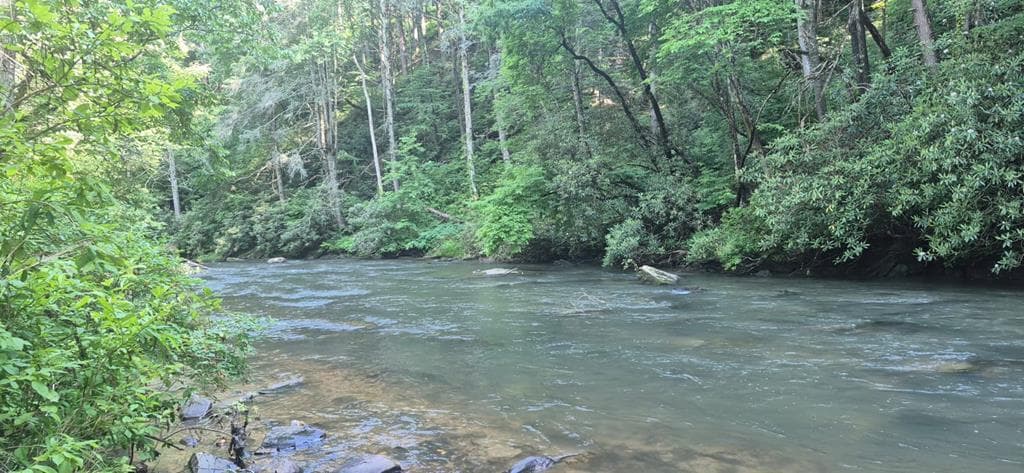 Lot 4 Roaring Forks Lane, Ellijay GA 30540 - Photo