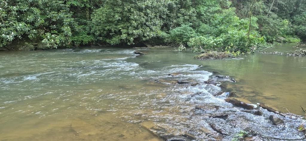 Lot 4 Roaring Forks Lane, Ellijay GA 30540 - Primary photo