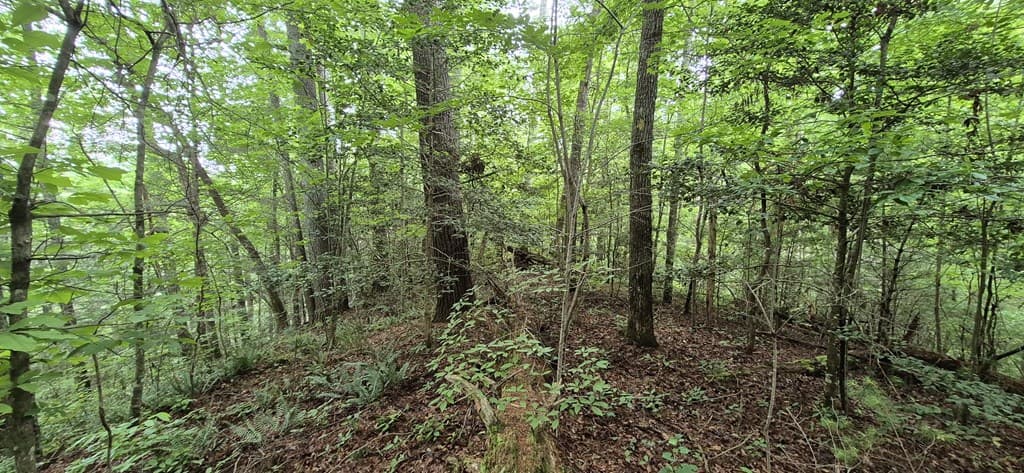 Lot 4 Roaring Forks Lane, Ellijay GA 30540 - Photo