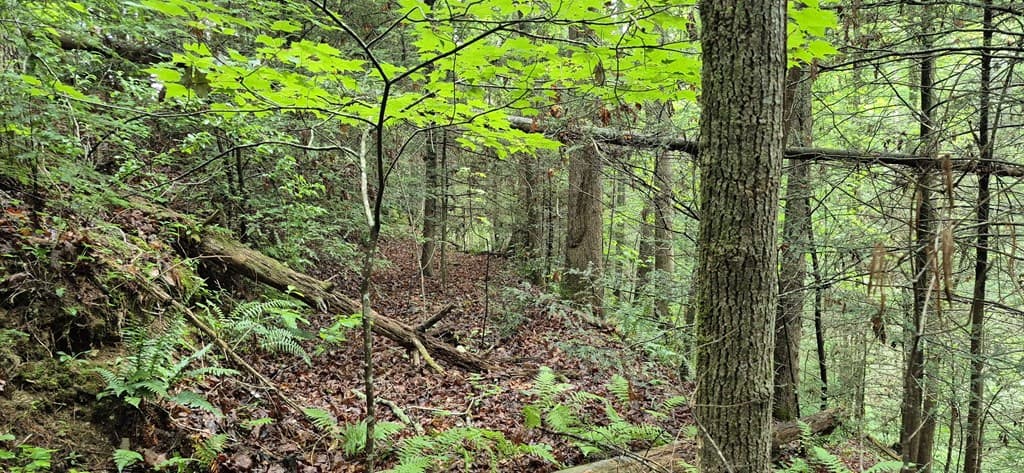 Lot 4 Roaring Forks Lane, Ellijay GA 30540 - Photo