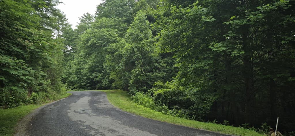 Lot 4 Roaring Forks Lane, Ellijay GA 30540 - Photo