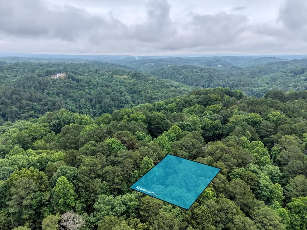 9 Mystic Court, Ellijay GA 30540 - Photo