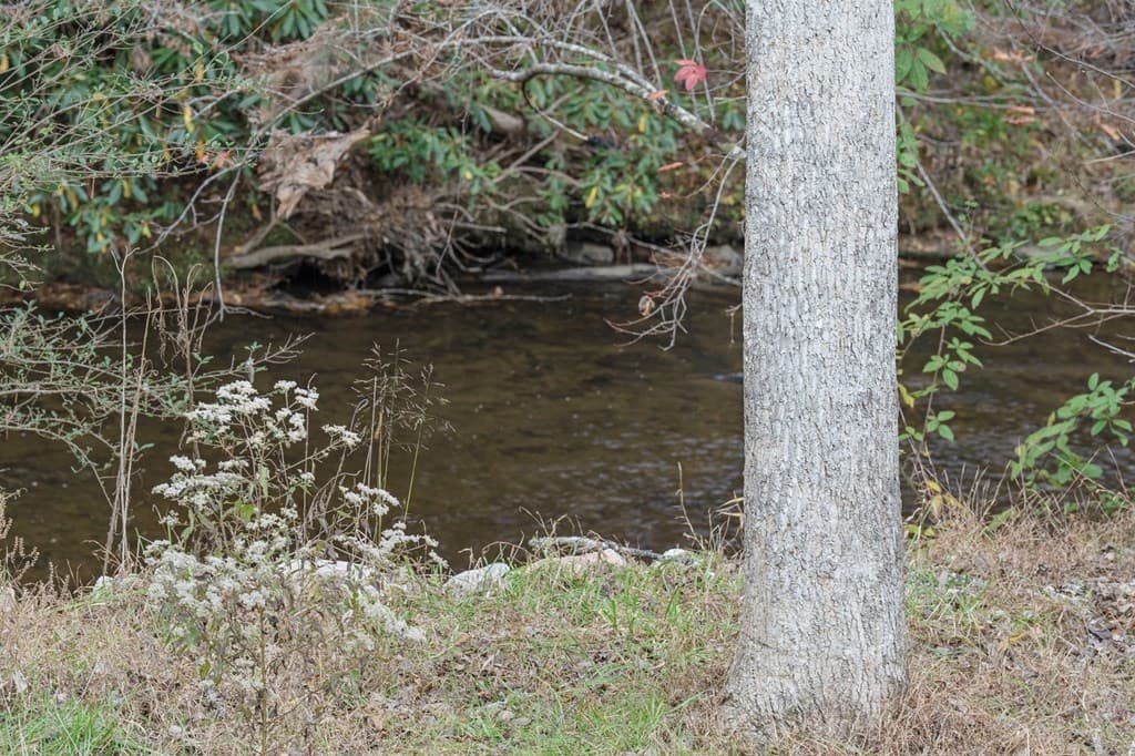 1214 John Abernathy Road, Blairsville GA 30512 - Photo