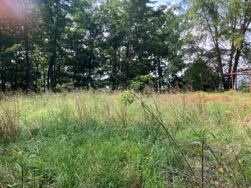 Lot 51 Buck Ridge Drive, Murphy NC 28906 - Photo