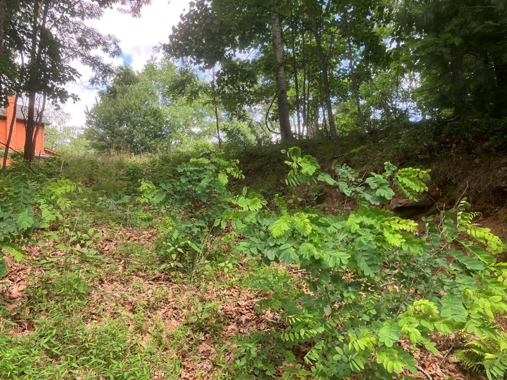 Lot 51 Buck Ridge Drive, Murphy NC 28906 - Photo