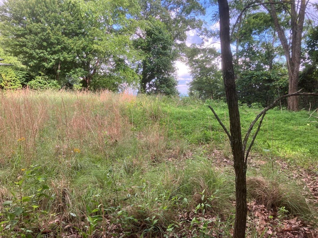 Lot 51 Buck Ridge Drive, Murphy NC 28906 - Photo