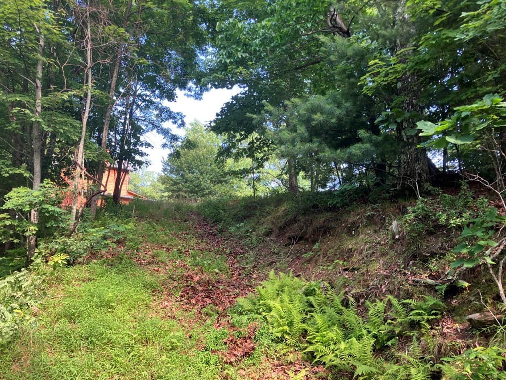 Lot 51 Buck Ridge Drive, Murphy NC 28906 - Photo